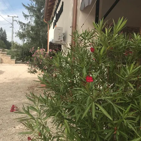 Admiralitas Kitchen And Restaurant 4* Leányfalu